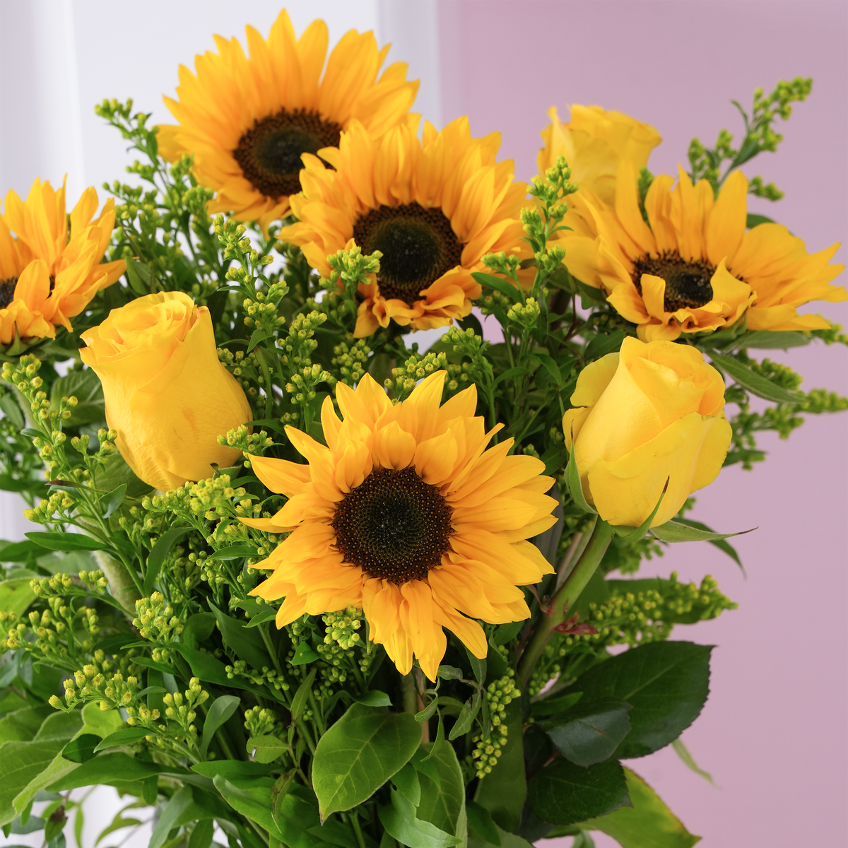 
              Fleurs Sunflower
